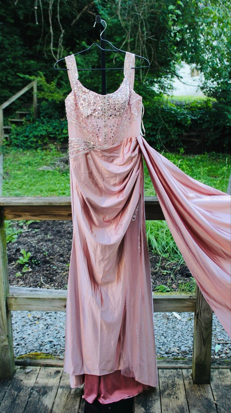 ✨ Princess Blush Pink Sparkle Gown | Size Small ✨👑🌸